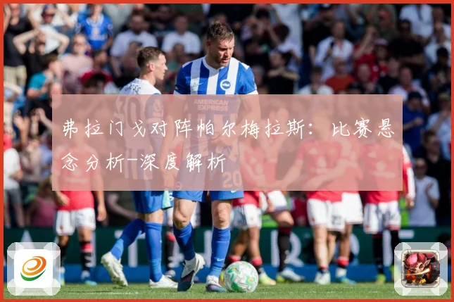弗拉门戈对阵帕尔梅拉斯：比赛悬念分析-深度解析
